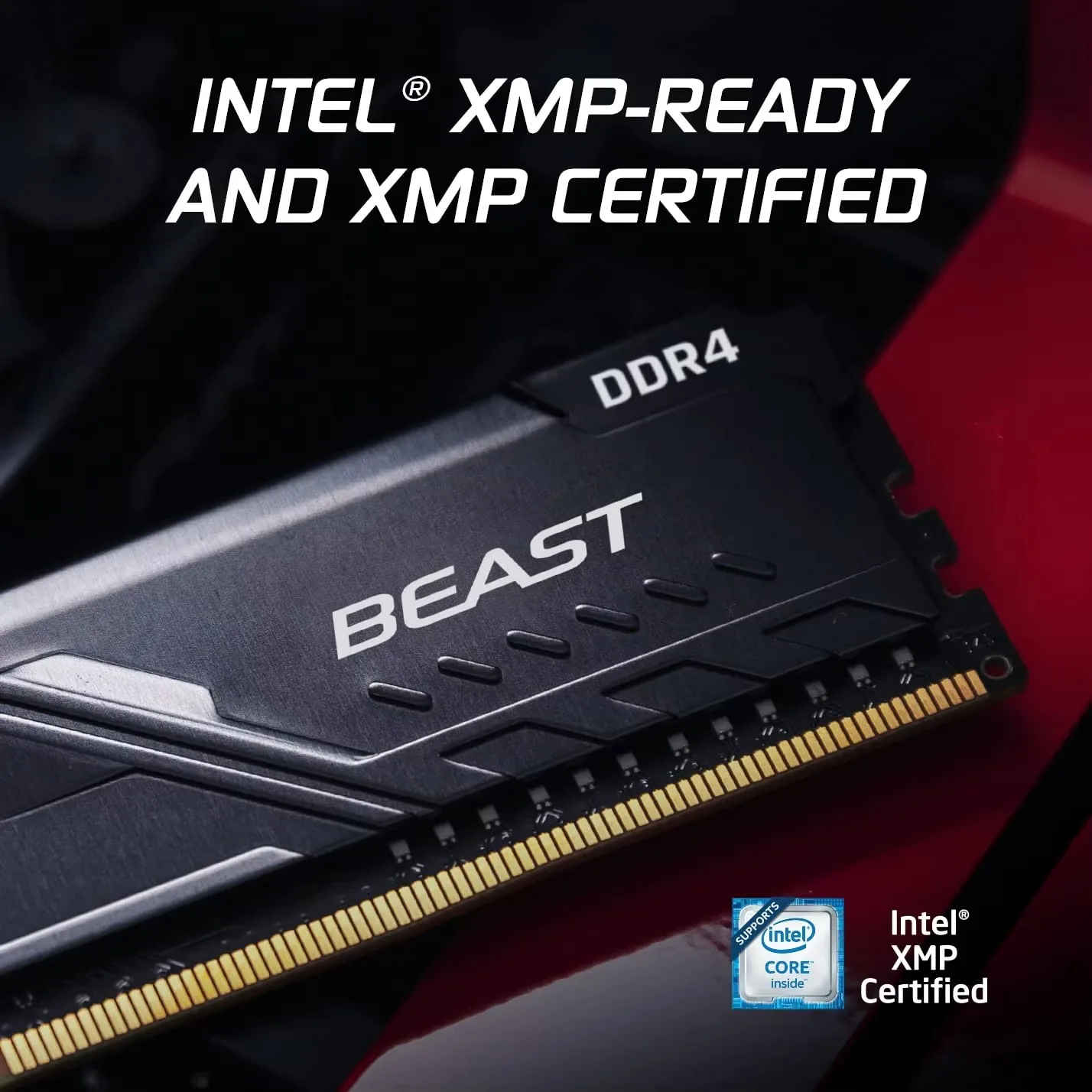 Kingston Fury Beast RAM imagen 5