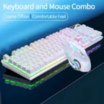 Conjunto de teclado y ratón